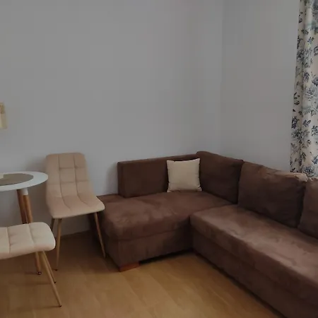 Magnolia دوشنيكي زدروي