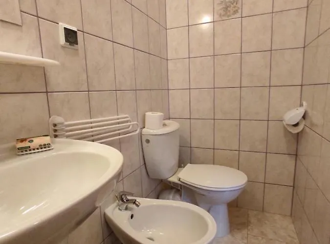 Magnolia * Duszniki Zdrój